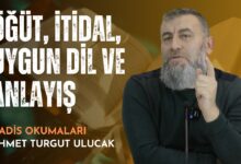  fotoğrafı