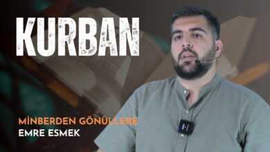  fotoğrafı