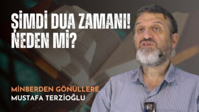 fotoğrafı
