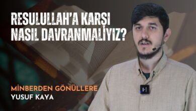  fotoğrafı