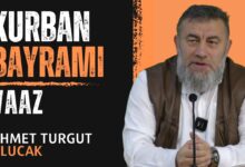  fotoğrafı