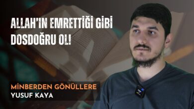  fotoğrafı