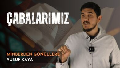  fotoğrafı